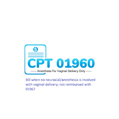 CPT 01960 - Anesthesia for vaginal delivery only: